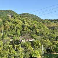 🇯🇵【愛媛県】四国最大級スケールを誇る とべもりジップライン