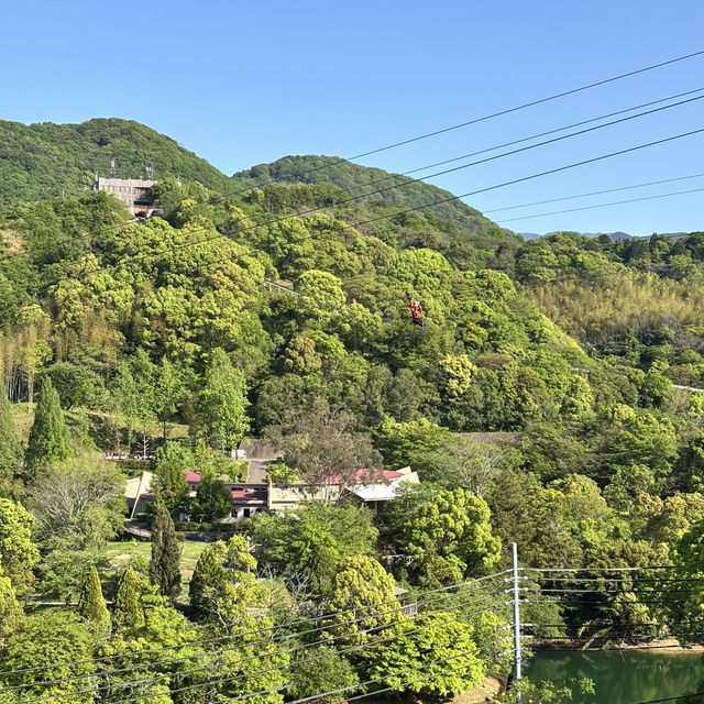 🇯🇵【愛媛県】四国最大級スケールを誇る とべもりジップライン