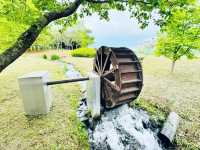 Where Nature Nurtures