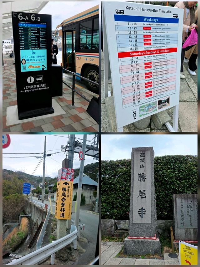 大阪勝尾寺🧧人氣祈福🙏，打卡寺院