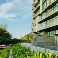 Angsana Teluk Bahang