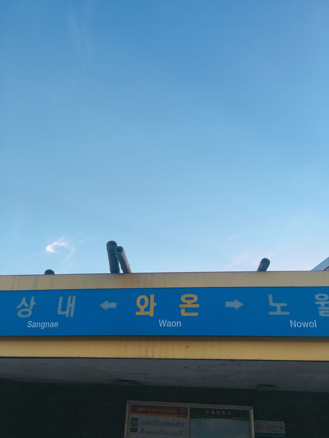 1박 2일 순천 여행 추천 코스: 자연과 전통이 어우러진 여유로운 여행 🌿