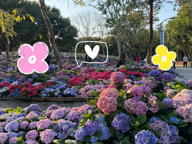台北大安森林公園の繡球花仙境｜免費打卡＋偶遇松鼠小驚喜🐿️
