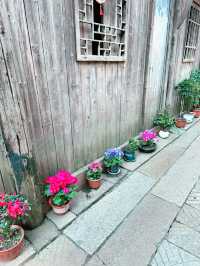 A Spring Escape to Wuzhen: A Journey Through Tranquil Beauty 🌸🚶‍♂️