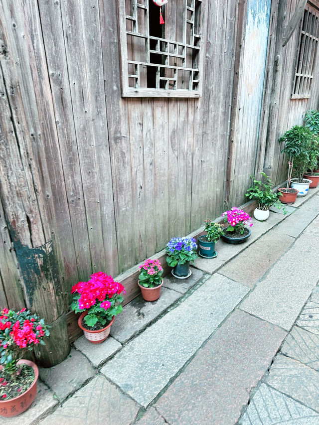 A Spring Escape to Wuzhen: A Journey Through Tranquil Beauty 🌸🚶‍♂️