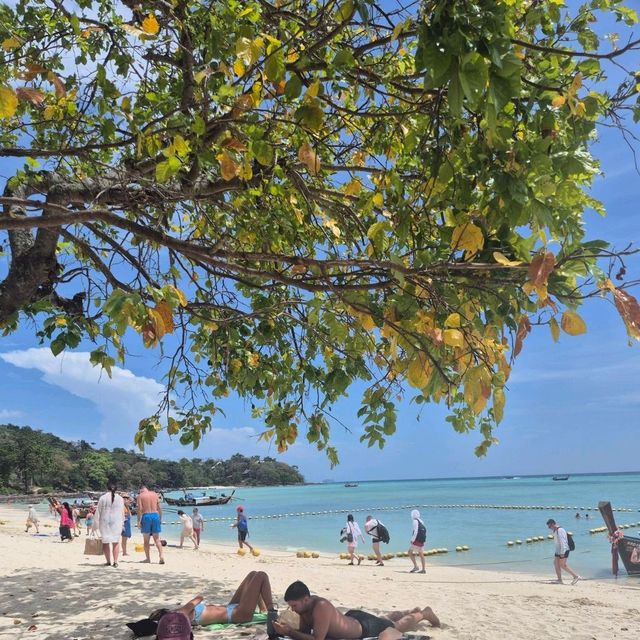 나만 알고 싶지만 너무 유명한 태국 피피섬🏖