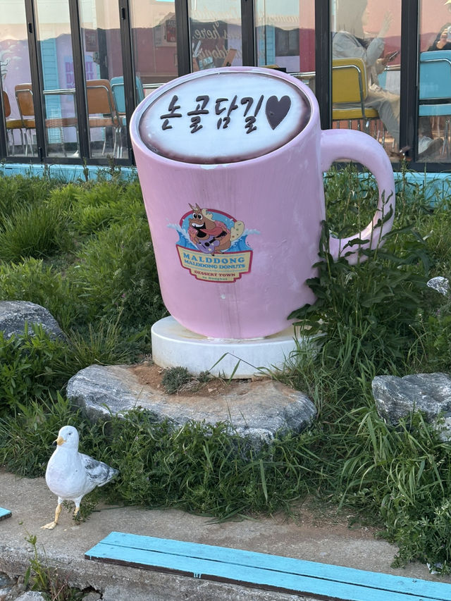 젊고 팝한 감성의 도너스를 즐기며 🌊 동해 묵호항을 감상할 수 있는 동해여행코스 추천🩵