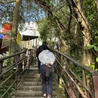 Xiangshan จุดชมวิวไทเป เดินไม่ไกล แต่วิวหลักล้าน