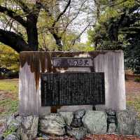 Blossoms and History at Asukayama Park