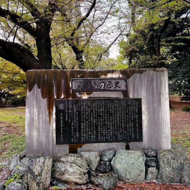 Blossoms and History at Asukayama Park