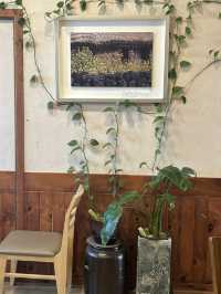 조용한 오후, 한옥 속 떡 디저트 한 입🍡🌱