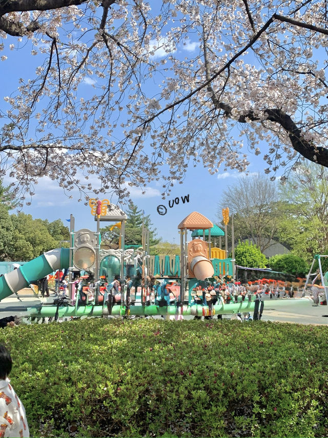 연지공원에서 가족나들이 어때 🧺🧺
