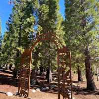Oak Glen Apple Orchards – Oak Glen, CA