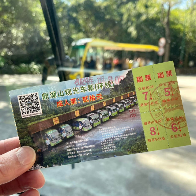 廣東的吸氧聖地💕鼎湖山