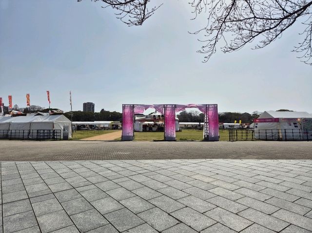 오호리공원 스타벅스💞