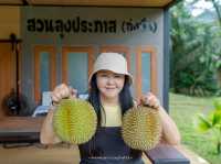 กินทุเรียน...ต้อง “สาลิกาพังงา” เท่านั้น!