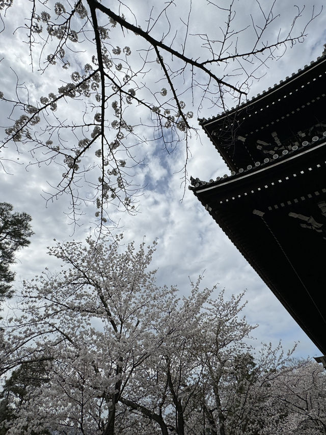大阪京阪本線｜歷史與現代的藍色文化之旅