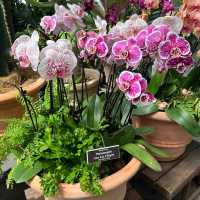 A Day at the New York Botanical Garden: A Bronx Escape