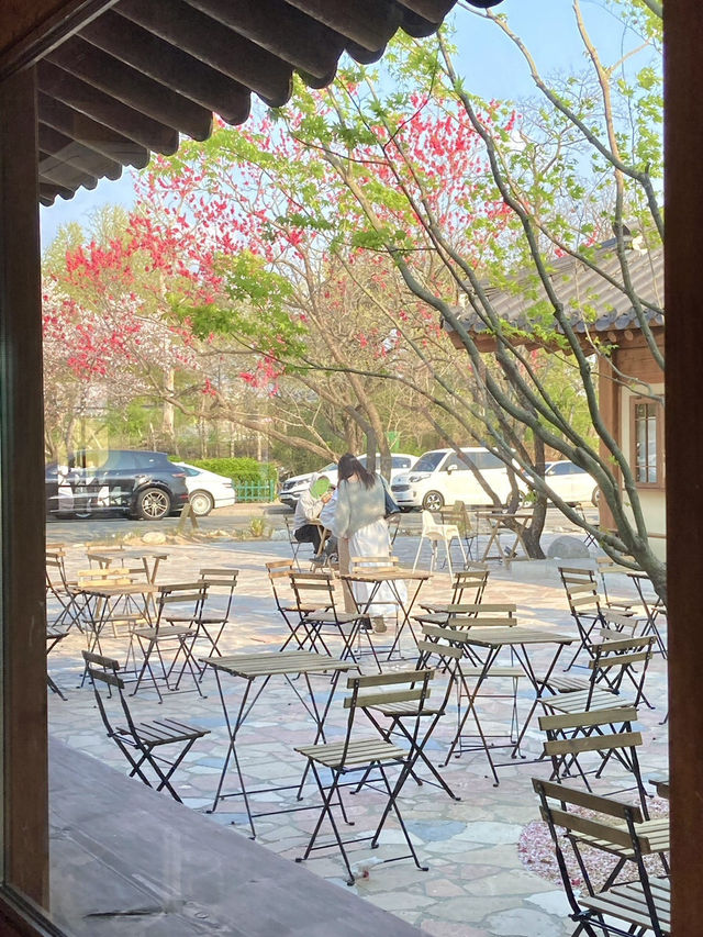 경주 카페는 여기로 가세요 🩷