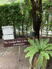 Big Bee farm ฟาร์มผึ้ง