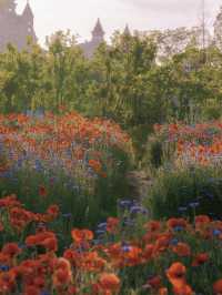 Just 10 Minutes from the Metro: Step into a Monet Painting 🎨🌼
