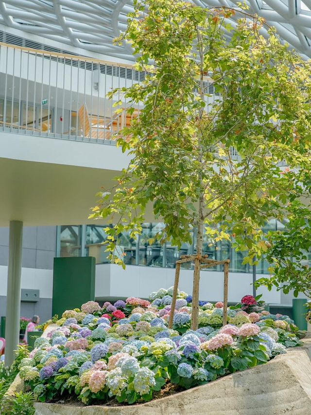 📍: Miracle of Natural🌷โครงการ PTT LN