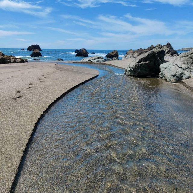 Sonoma Coast State Park – Sonoma County, CA