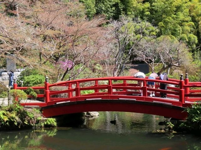 A Cherry Blossom Stroll You’ll Love
