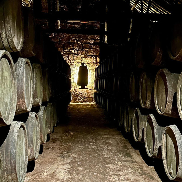Capes, Barrels & Velvet Sips: A Wine Tasting Affair at Sandeman
