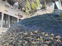 Wondrous Bloom แลนด์มาร์กสวยแห่งใหม่ระยอง 