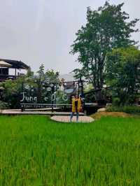 jungle de cafe เชียงใหม่ สาขาบ้านถวาย