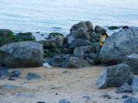 Discover the Enchanted Legend of Dongbaek Island🔥
