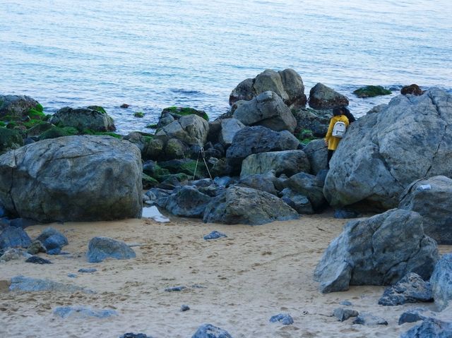 Discover the Enchanted Legend of Dongbaek Island🔥