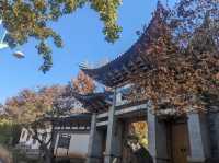 雲南 | 洱海公園，登頂昔日南詔國王養鹿之地，遠眺洱海美景。