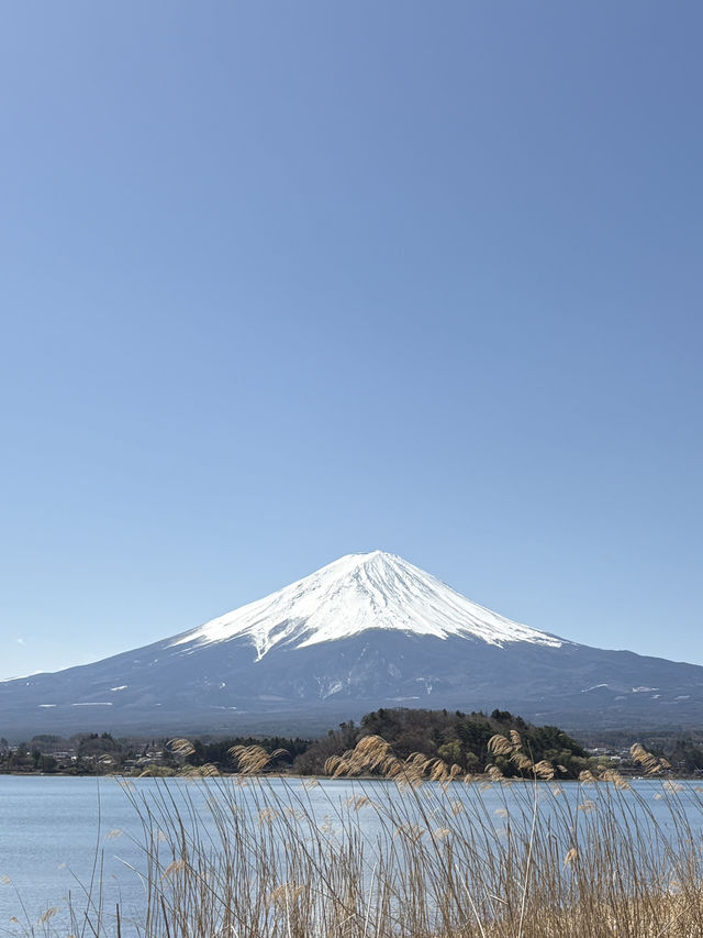 Mount Fuji – Japan’s Majestic Heartbeat 🗻✨