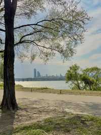 水上星巴克欣賞漢江風景+首爾林公園散步