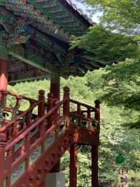 광주 근교 고즈넉함을 느낄 수 있는 백양사