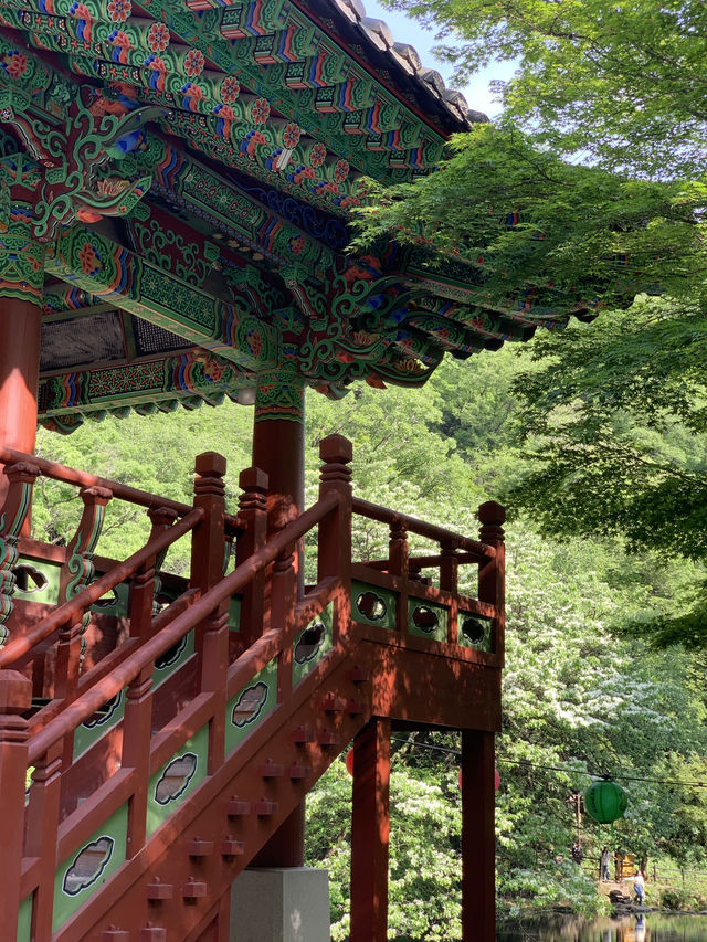 광주 근교 고즈넉함을 느낄 수 있는 백양사
