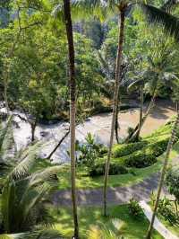 🍃 Nature's Embrace – A Soulful Stay in the Heart of Ubud