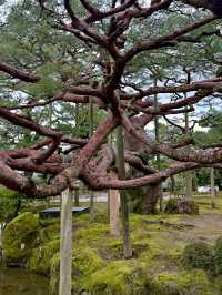 Kanazawa: Japan’s “Little Kyoto” of Art, History, and Serenity