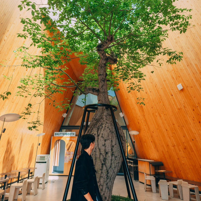  คาเฟ่สไตล์ Modern ชลบุรี Mood ดีมากกก ☕️🌳