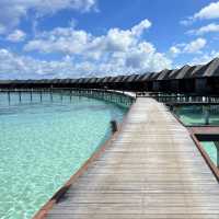 Tropical Bliss: A Stay at Kaani Palm Beach