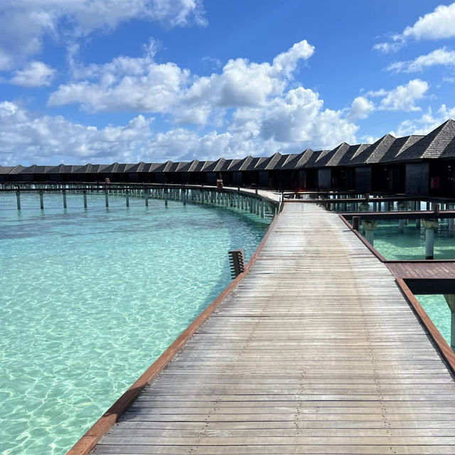 Tropical Bliss: A Stay at Kaani Palm Beach