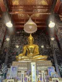 ใครที่ทำอะไรไม่ขึ้นต้องดู