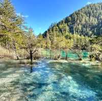 Jiuzhaigou: A Stunning Symphony of Nature