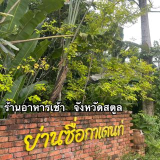 수 카덴 지역, 신선한 커피, 사툰 추천 레스토랑
