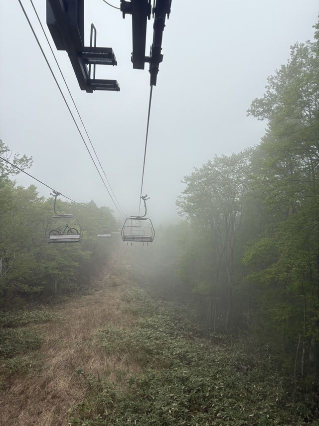 Hakuba Iwatake Mountain Resort 