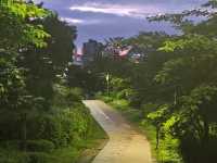 Namsan Park: The Road Less Traveled to Seoul Tower