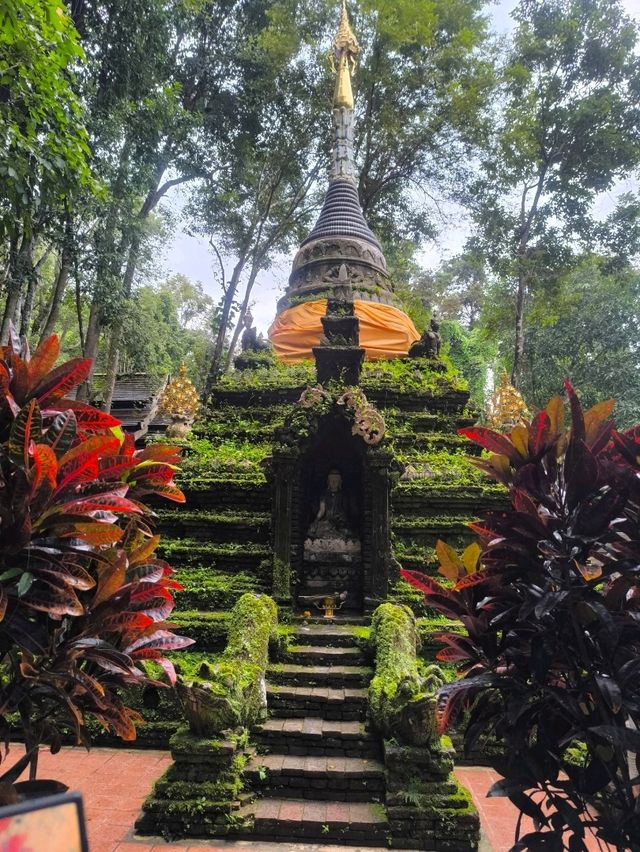 Chiang Mai ✈️
