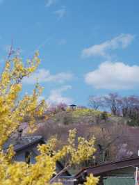 東海道新幹線：大阪去福島只需四小時